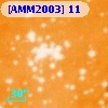 [AMM2003] 11