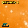 [ESK2003]   4