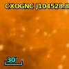 [ARV2008] 210