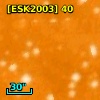 [ESK2003]  40