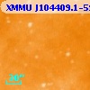 XMMU J104409.1-593721