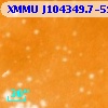 XMMU J104349.7-593115