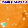 XMMU J104423.2-594311