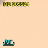 HD 305524
