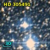 HD 305491