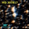 HD 307817