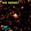 HD 305667