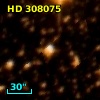 HD 308075