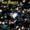 HD 308073