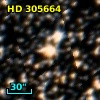 HD 305664