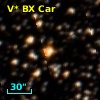 V* BX Car