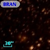 BRAN 323