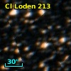Cl Loden  213