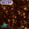 SS 219