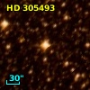 HD 305493