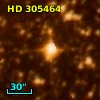 HD 305464