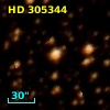 HD 305344