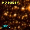HD 305387