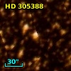 HD 305388