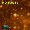 HD 305389