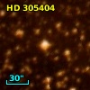 HD 305404