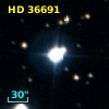 HD  36691