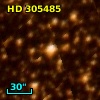HD 305485