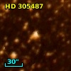 HD 305487