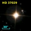 HD  37029