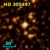 HD 305497