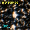 HD 305499