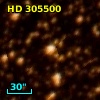 HD 305500