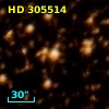 HD 305514