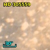 HD 305559