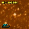 HD 305564