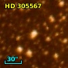 HD 305567