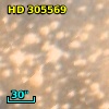 HD 305569