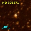 HD 305571