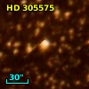 HD 305575