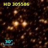 HD 305586