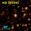 HD 305591