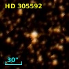 HD 305592