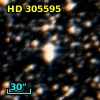 HD 305595
