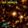 HD 305629