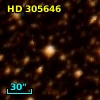 HD 305646