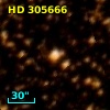 HD 305666