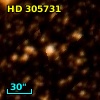 HD 305731