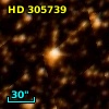 HD 305739