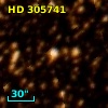 HD 305741