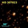 HD 307823